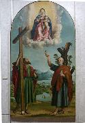 Madonna of the Oak, Sacred conversation with the Virgin and Child Jesus, St. Andrew, Girolamo dai Libri